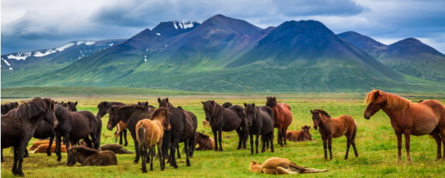 Tanie loty na Islandię z Warszawy za 368 PLN