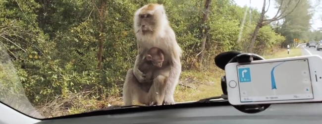 Tajlandia poza utartym szlakiem z Fly4free #1. Koh Lanta