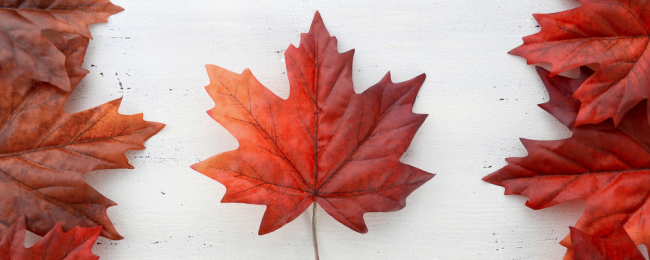 HIT! Super tanie loty do Kanady z Paryża od 387 PLN!