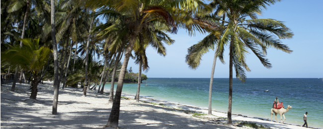 14-dniowy wypoczynek w Kenii z Warszawy za 2843 PLN (czarterowe loty + noclegi z dwoma posiłkami)