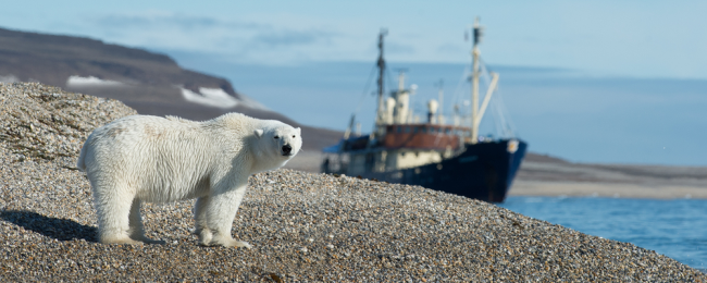 Tanie loty na daleką północ: Svalbard z Gdańska i Warszawy od 685 PLN
