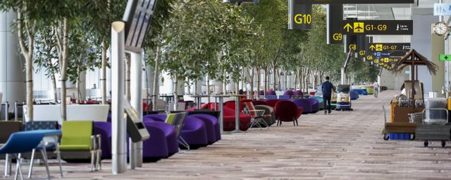 Najlepsze lotnisko świata stało się jeszcze lepsze. Nowy terminal bije na głowę wszystko, co widzieliście na lotniskach