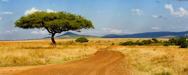 Tanie loty do Kenii z Warszawy za 876 PLN!