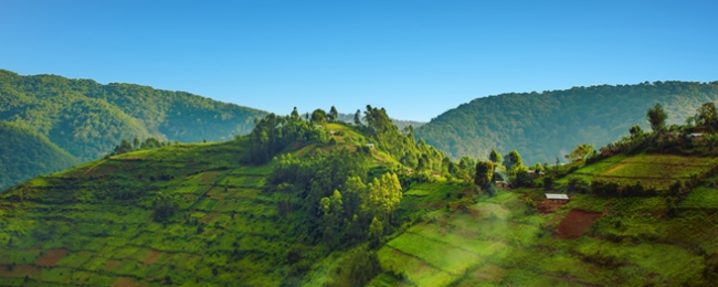 Loty do Ugandy z Berlina za 1692 PLN (m.in. majówka)