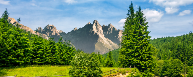 Wakacje na Podhalu: noclegi z wyżywieniem za 99 PLN za pokój