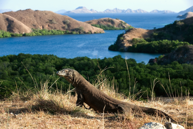 Komodo, Indonezja panorama