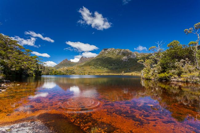 Tasmania