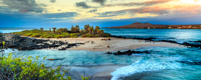 Loty na Wyspy Galapagos z Londynu od 2587 PLN (także na majówkę)