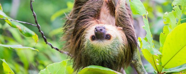 Loty czarterowe do Panamy z Warszawy za 1599 PLN