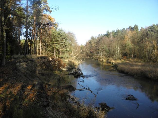Luboszów