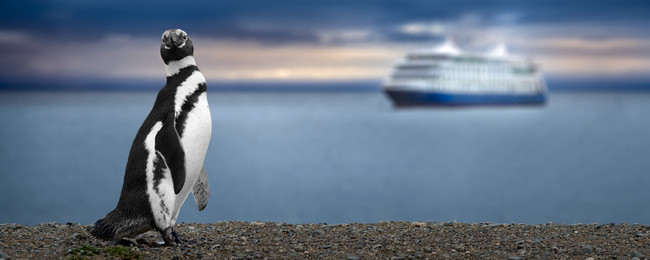 Południe Chile: loty do Punta Arenas z Berlina za 2783 PLN