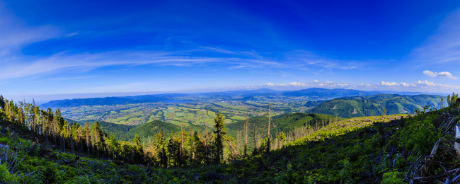 Klimatyczny dworek w Beskidzie Żywieckim z wyżywieniem od 139 PLN za pokój (również w wakacje)