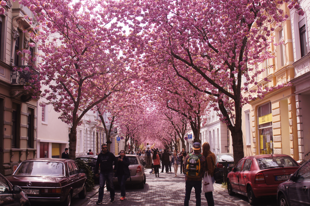 ulica w Bonn