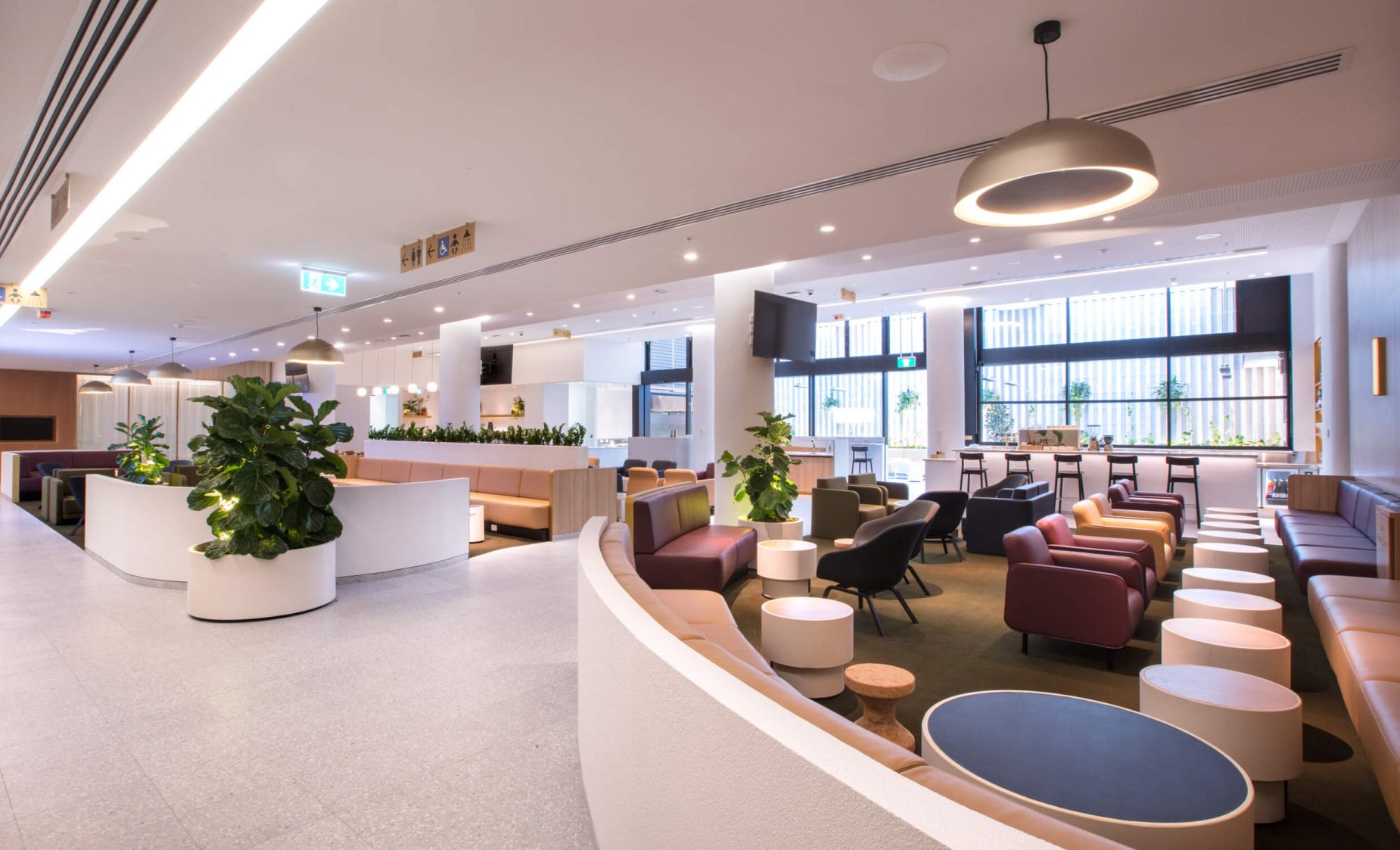 Prysznice, terapia światłem, joga w saloniku. Linie lotnicze pomogą pasażerom przetrwać kilkanaście godzin w samolocie