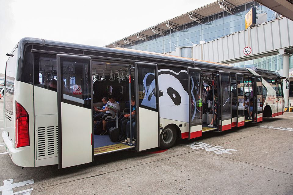 samolot panda