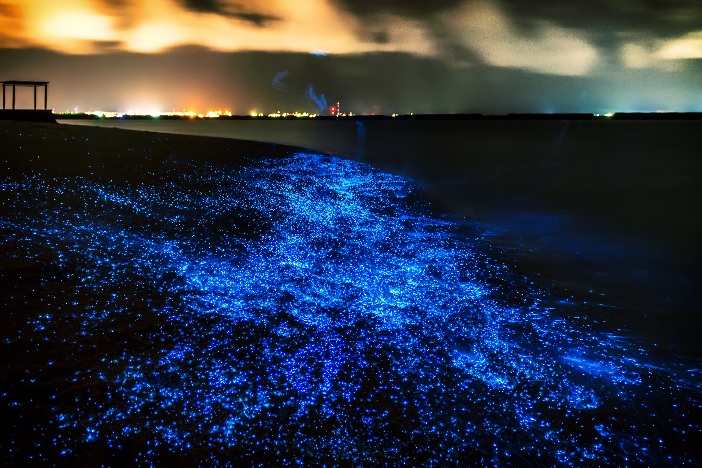 świecąca plaża malediwy