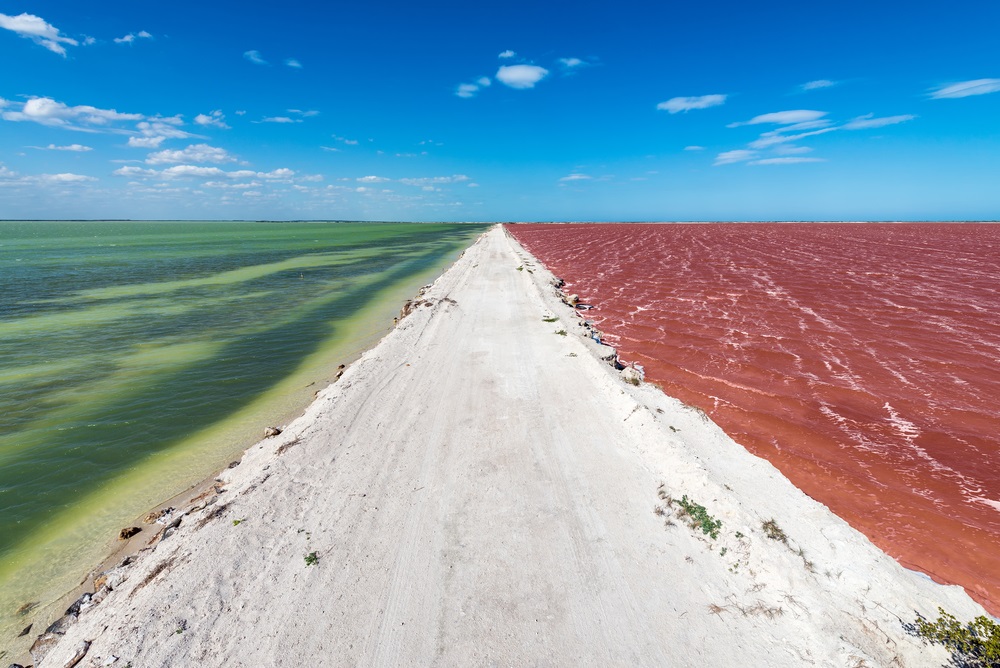 las coloradas meksyk
