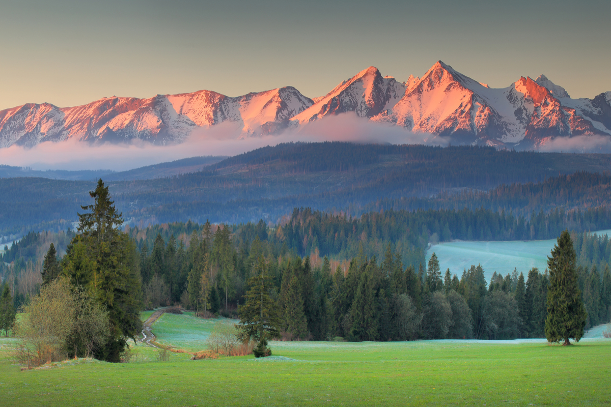 Sun & Snow Resorts w Zakopanem od 159 PLN za noc (śniadania w cenie)