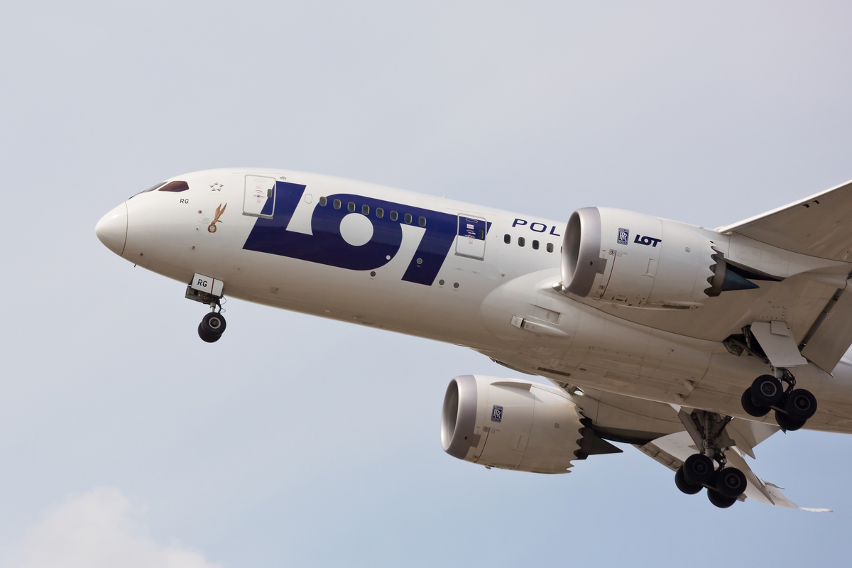 LOT zwalnia dyscyplinarnie 67 strajkujących pracowników! Co dalej ze spółką, strajkiem i ile to wszystko kosztuje?