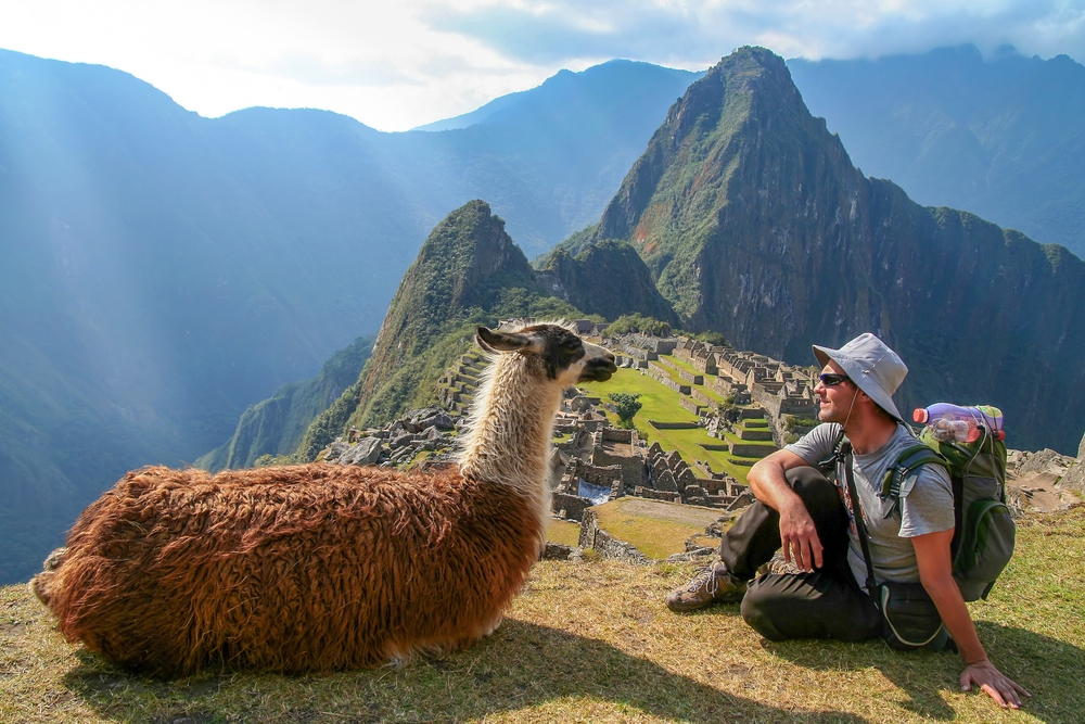 Turysta w Peru z lamą