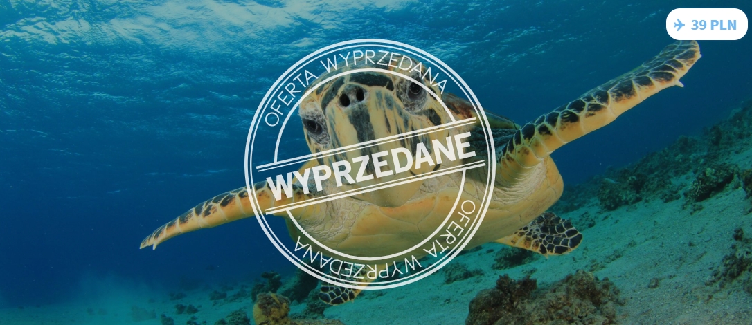 Oferta wyprzedana