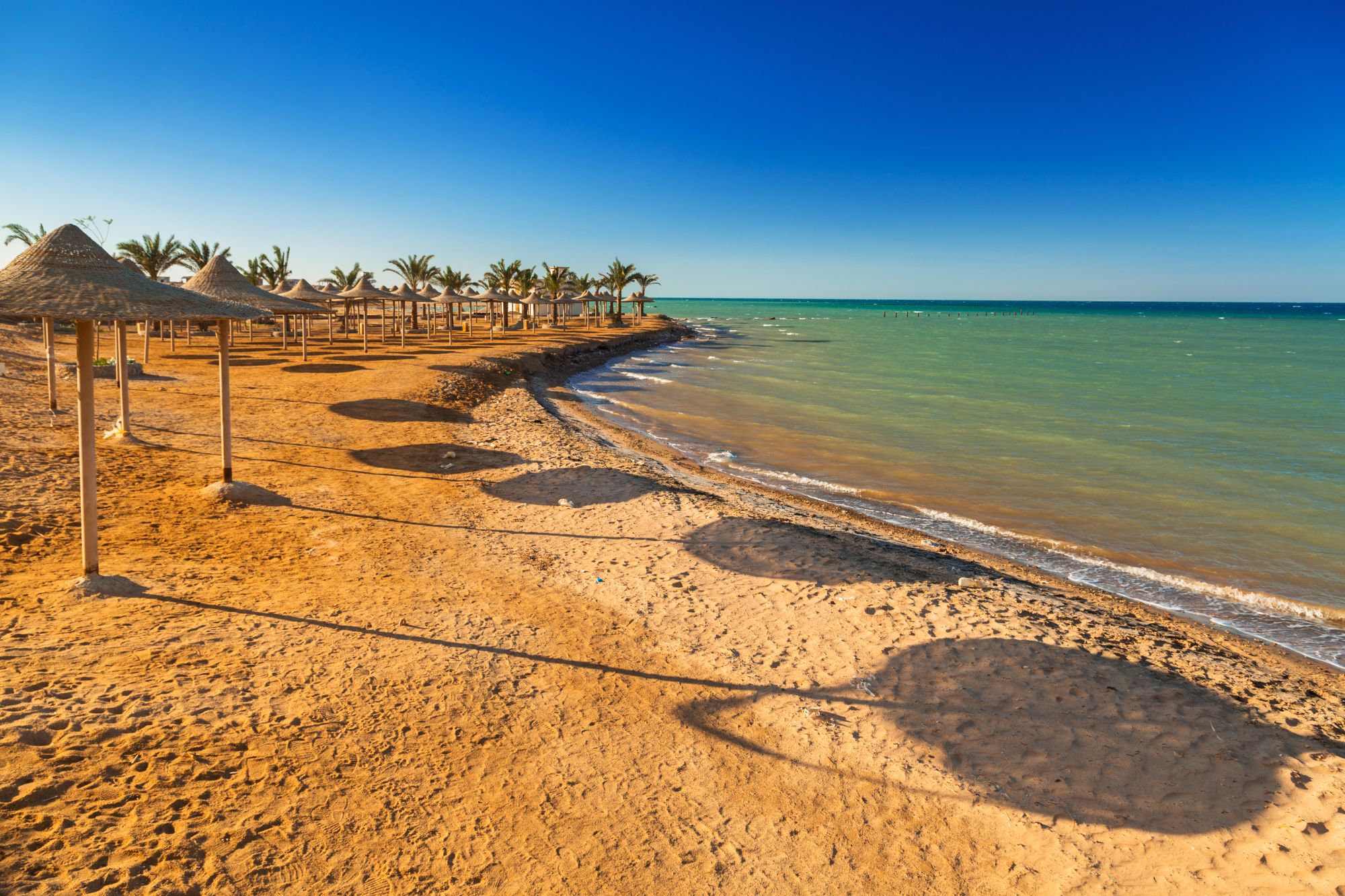 Dwutygodniowe all inclusive w 5* hotelu w Egipcie za 1766 PLN (wylot z Katowic lub Warszawy)