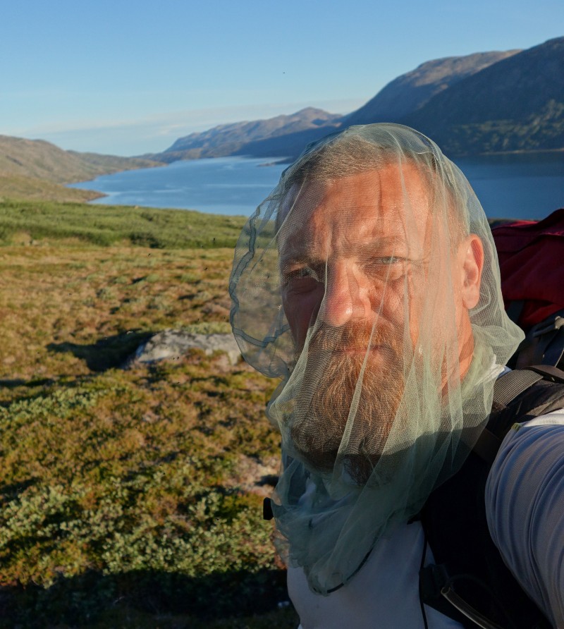 Siatka na Grenlandii