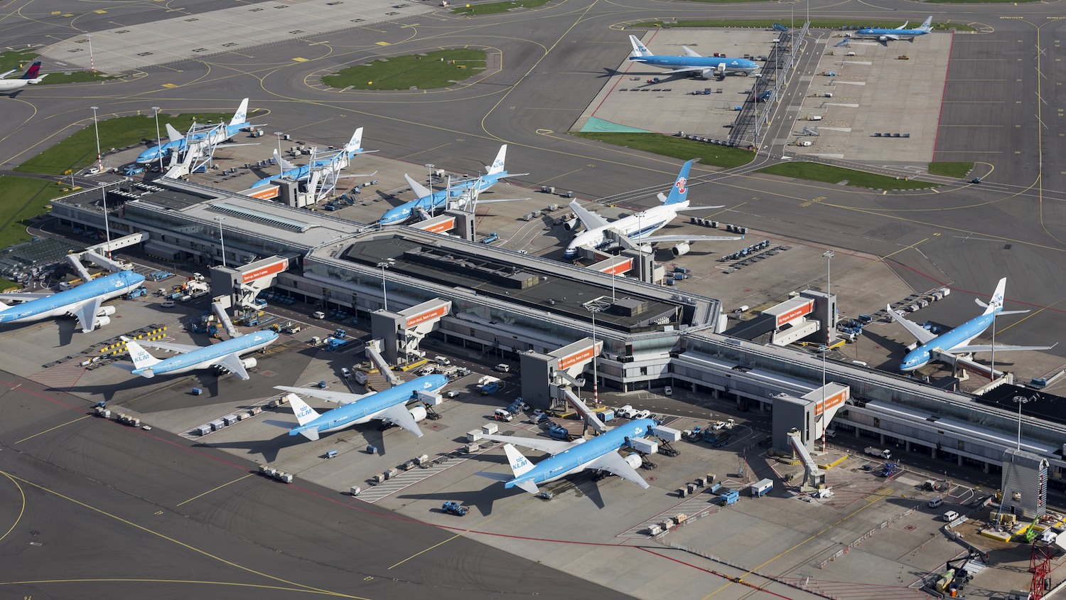 samoloty KLM