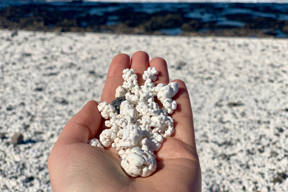 Turystyczni złodzieje niszczą słynną popcornową plażę. Może przestać istnieć