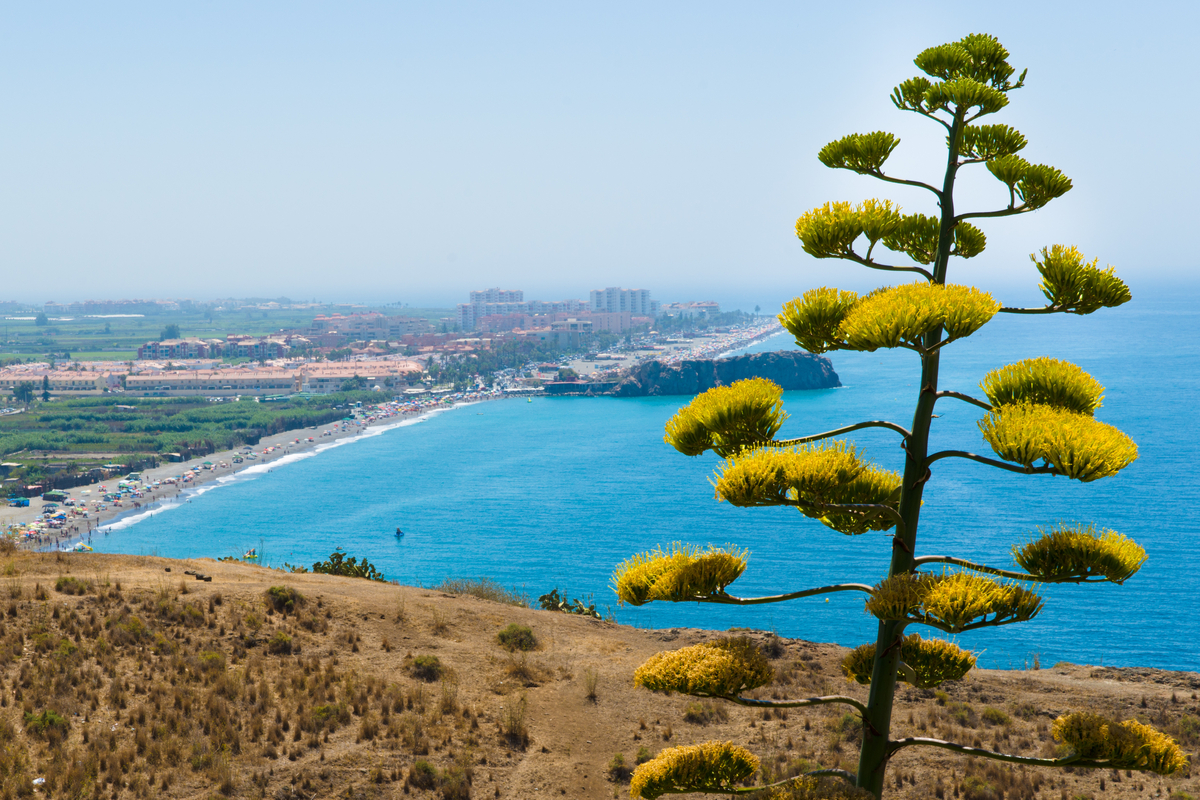 Wczasy na Costa Almeria za 1539 PLN. Loty z Warszawy i pobyt w 4* hotelu z HB