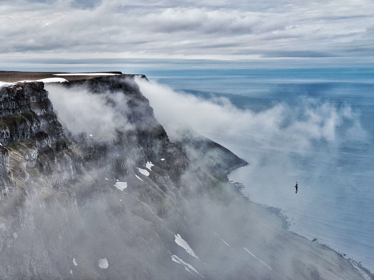 Hornstrandir