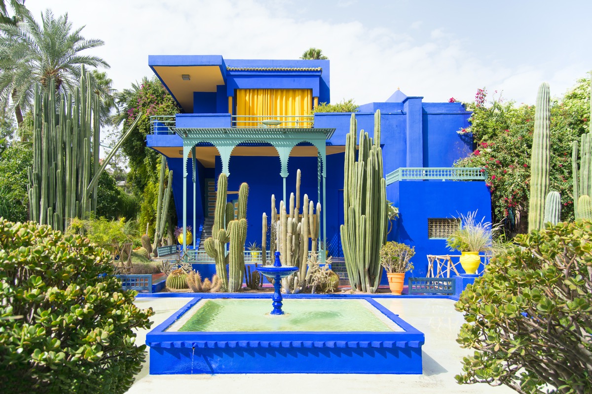 marrakesz kaktusy