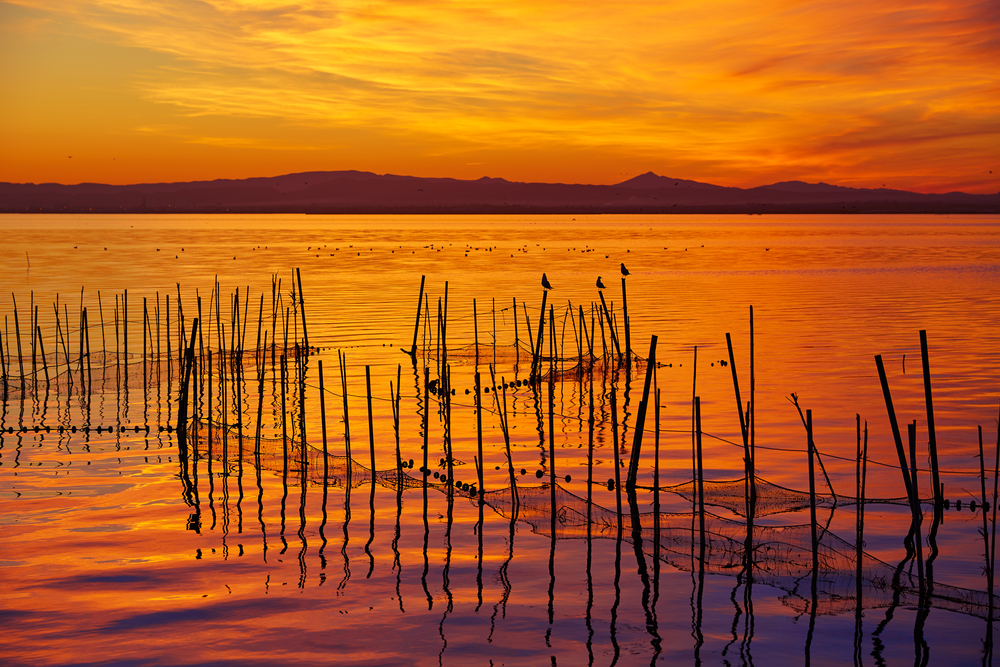 jezioro albufera