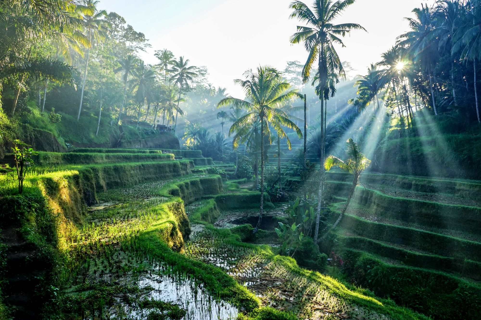Tygodniowy wypoczynek na Bali za 2950 PLN. Loty Turkish Airlines z Warszawy + noclegi