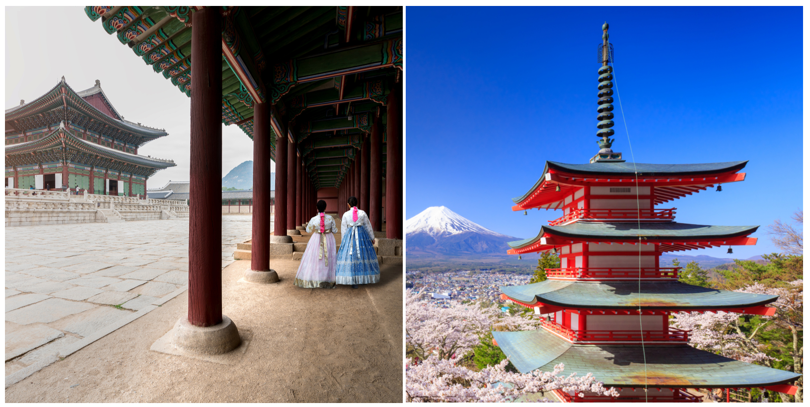 Do Azji bez wiz! Seul + Tokio od 2482 PLN. Loty w okresie kwitnienia wiśni (hanami) z wielu polskich miast