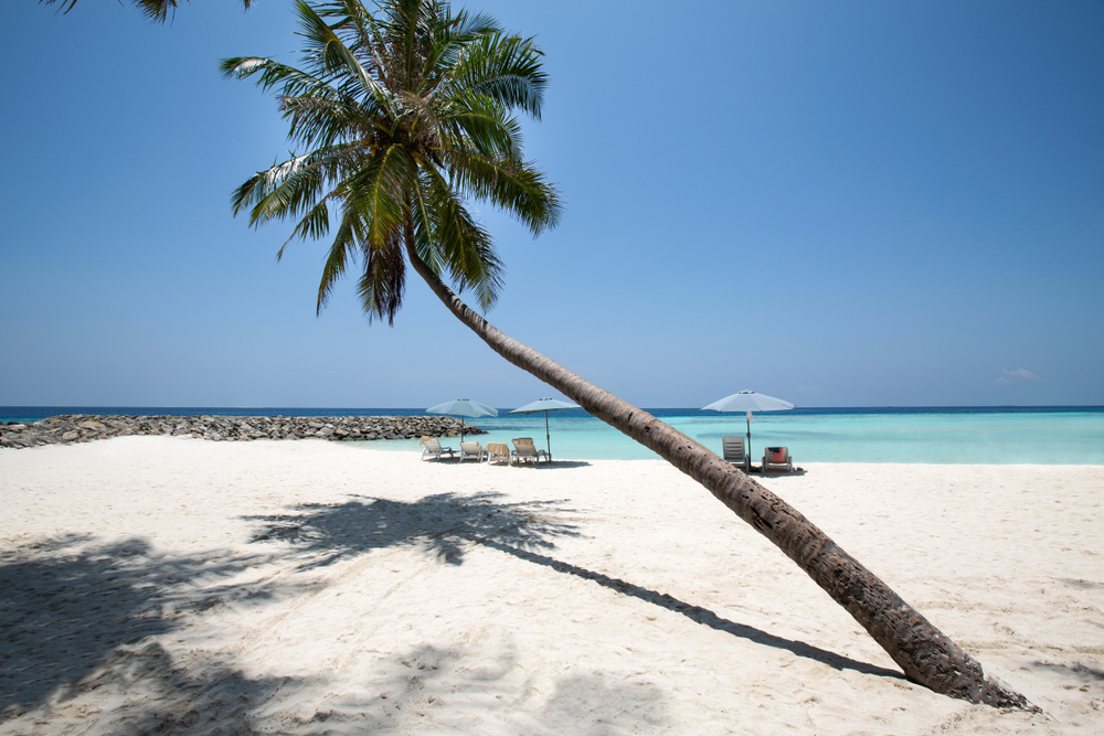 Maafushi malediwy biki plaza
