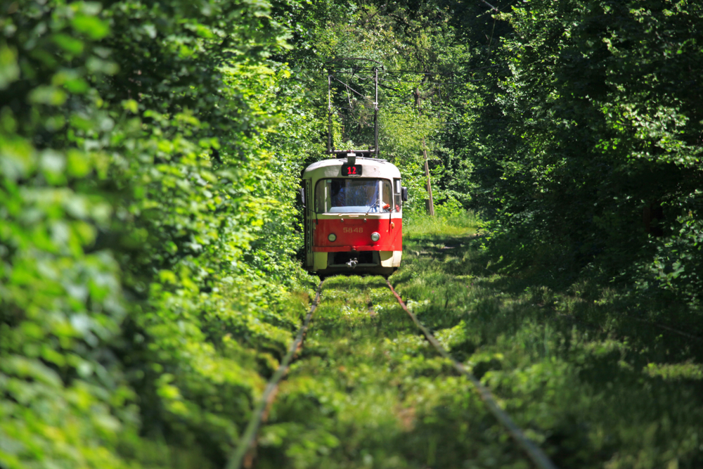 Tramwaj wśród zieleni