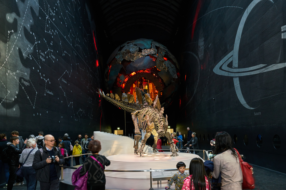 muzeum historii naturalnej londyn
