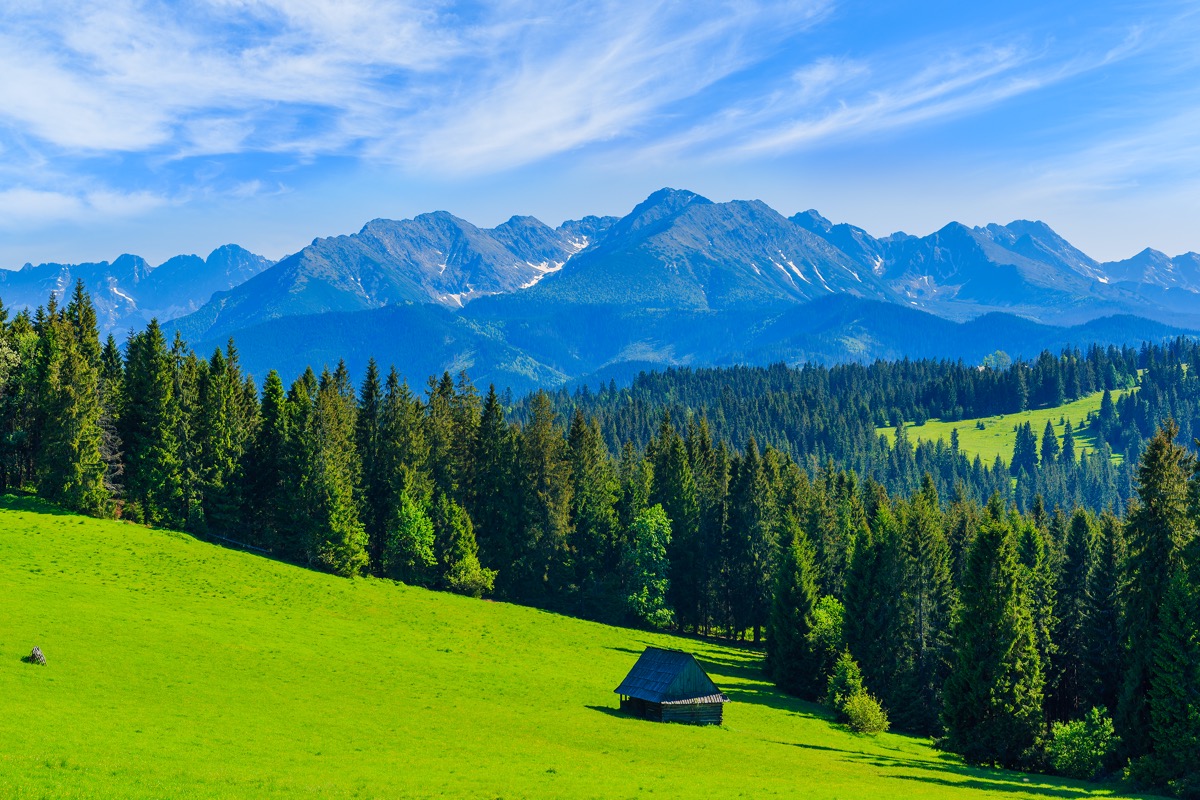 tatry latem