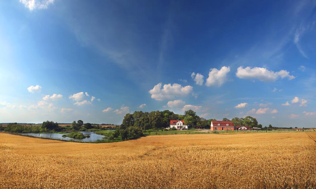 Dworek u Leszczyńskich