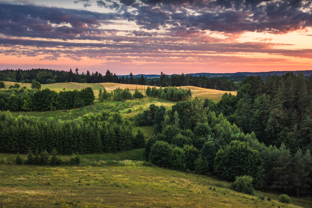 Panorama okolicy