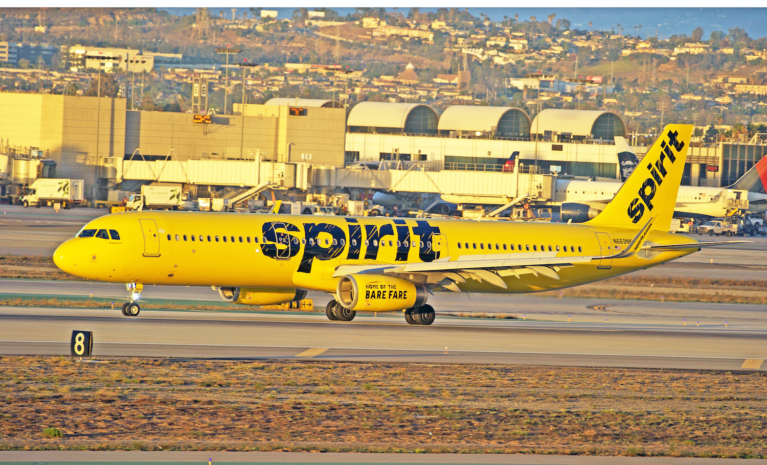 Tania linia wykonuje absurdalne trasy po 80 km, bo tylko tak otrzyma rządową pomoc