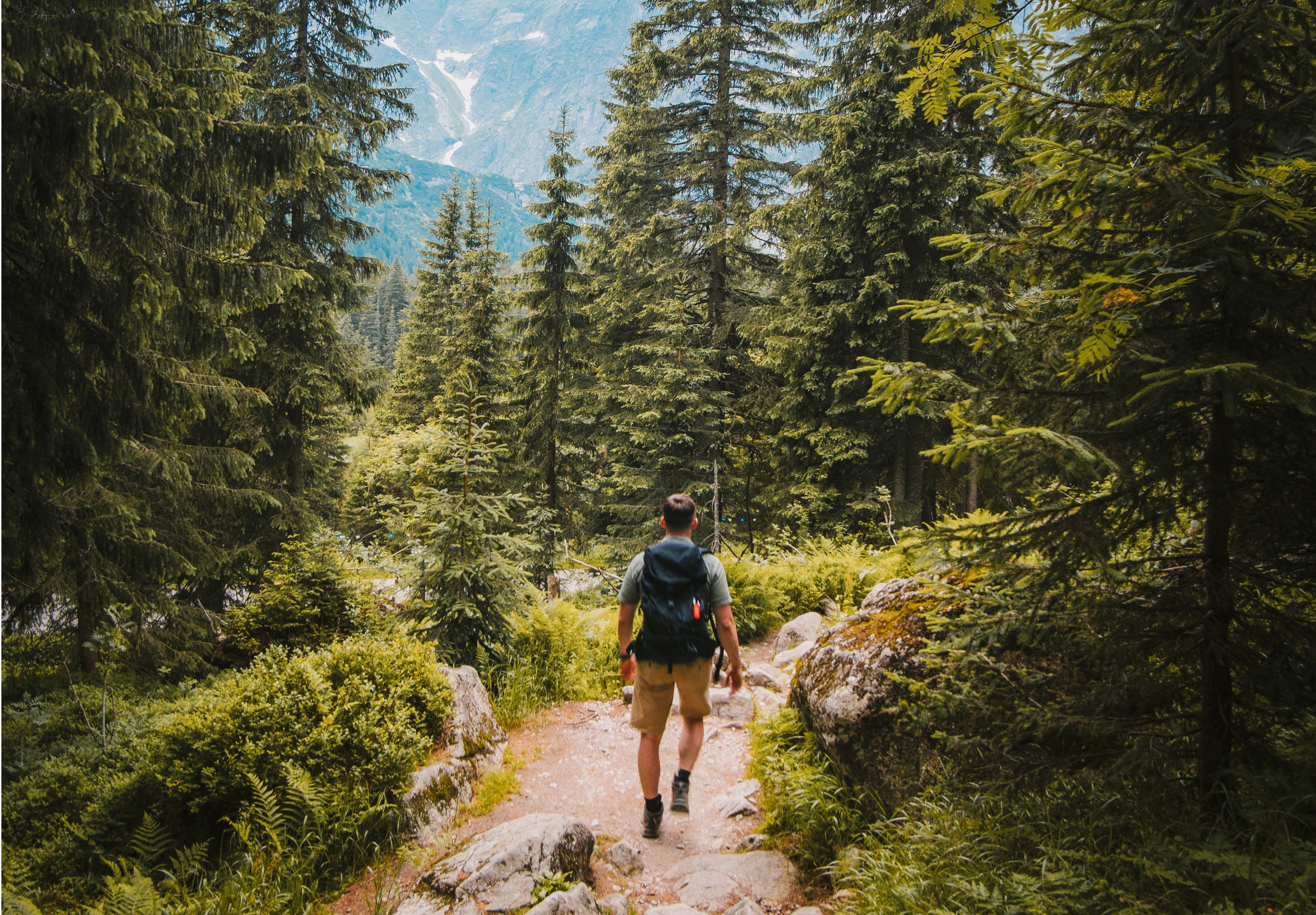 Samoizolacja? A gdzie tam! Tatry w weekend odwiedziło 18 tys. osób, nad morzem wcale nie lepiej