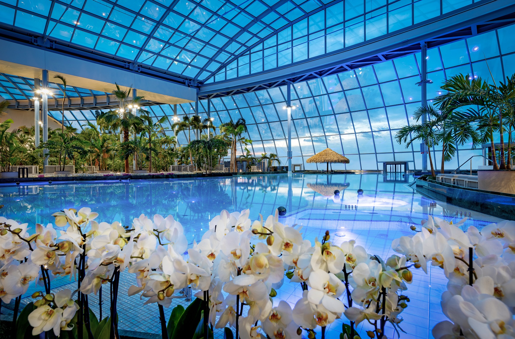 Słynny aquapark-gigant pod Warszawą znów otwarty! Znamy datę i nowe zasady