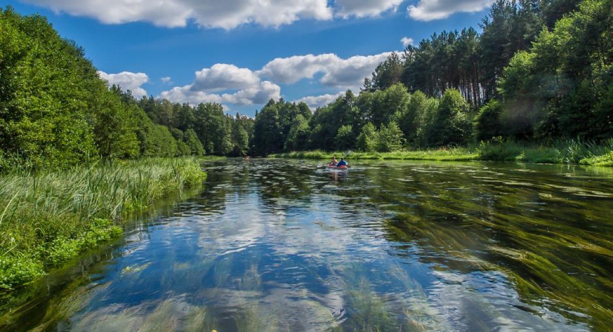 Bory Tucholskie: noclegi z wyżywieniem w 4* Evita Hotel & Spa za 189 PLN/pokój #jesień