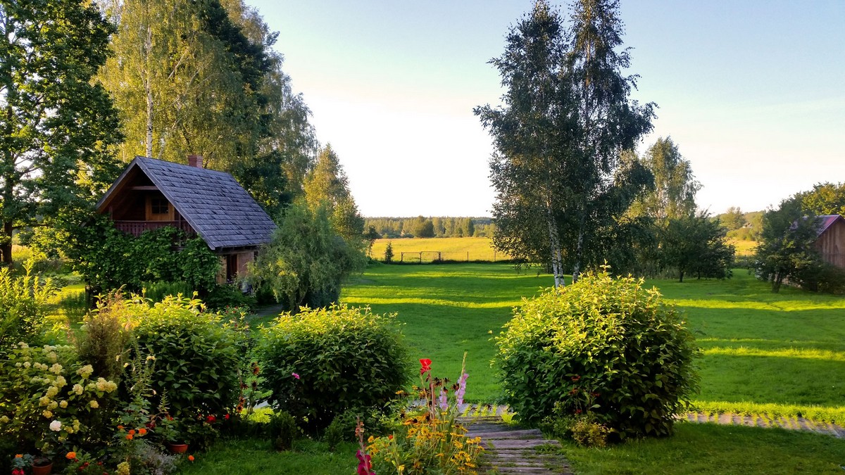 Widok ogrodu