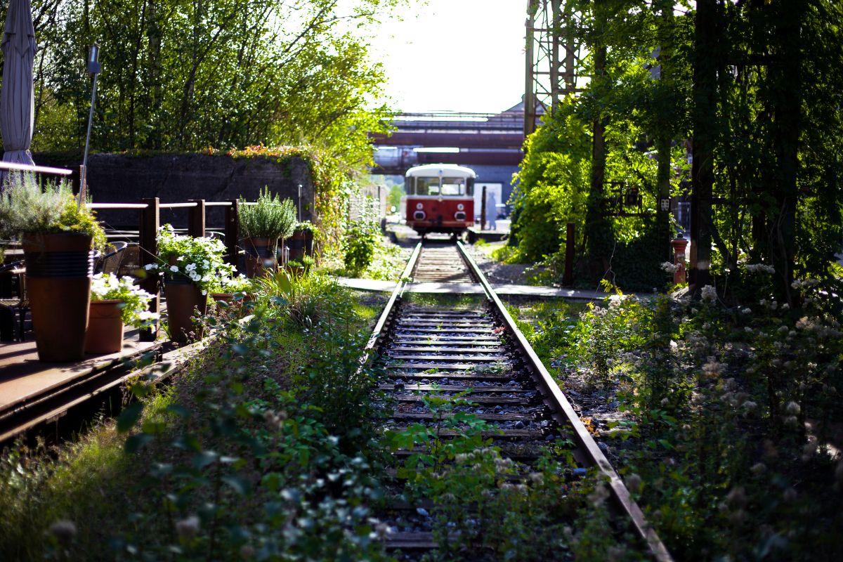 Widok pociągu