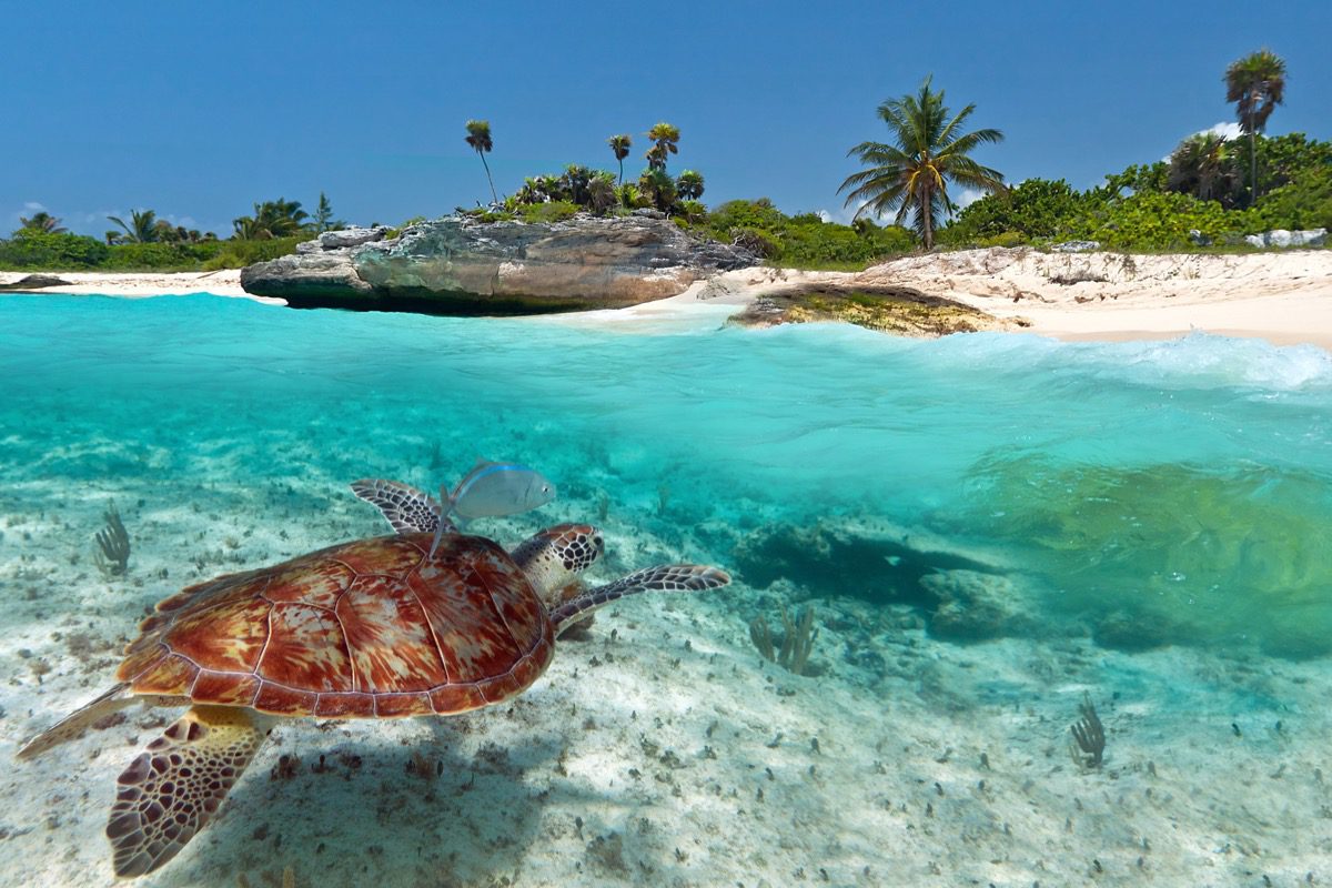 Sylwester w Meksyku: tanie loty do Cancun z Berlina za 1821 PLN