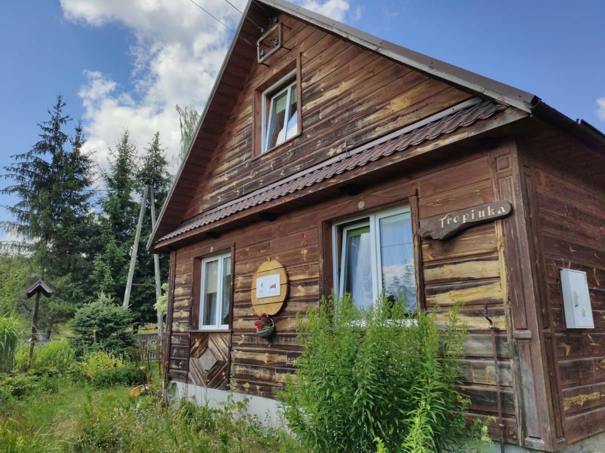 Widok domu