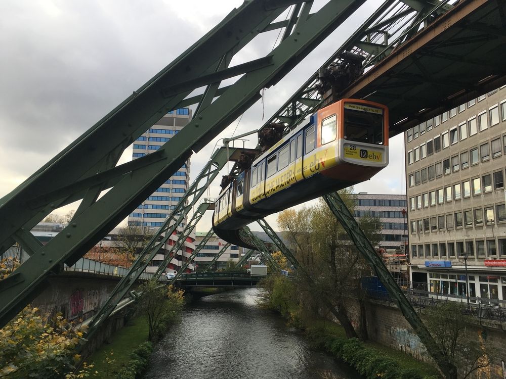 Wuppertaler